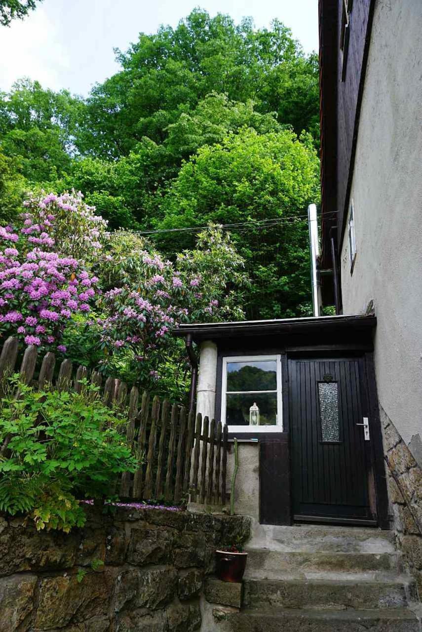 Apartment Im Gruenen Elbtal